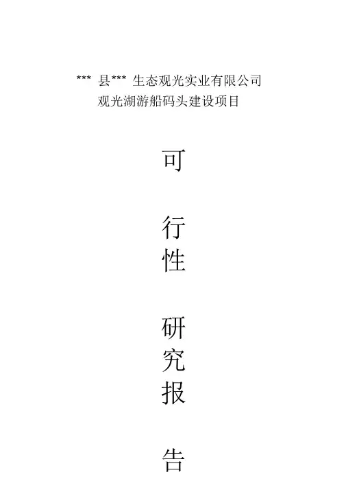 观光湖游船码头建设项目可行性研究报告