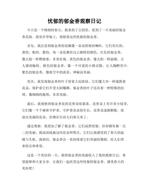  小学三年级作文忧郁的郁金香观察日记