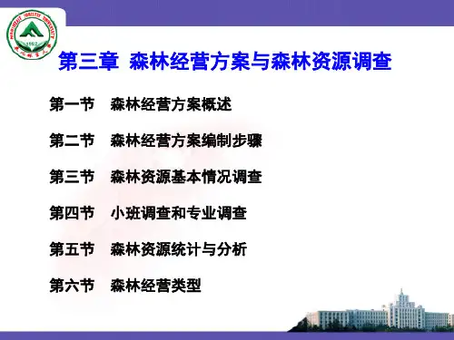 森林经营方案与森林资源调查报告.pptx