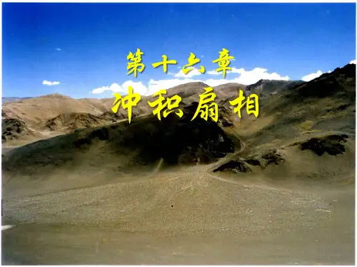 冲积扇相