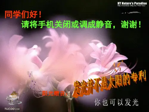 《教师口语》 课件