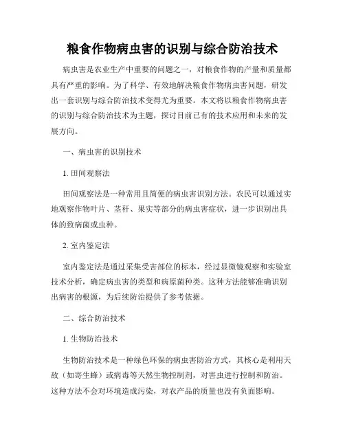 粮食作物病虫害的识别与综合防治技术