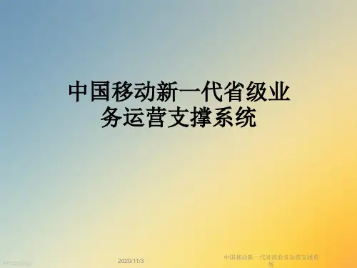 中国移动新一代省级业务运营支撑系统