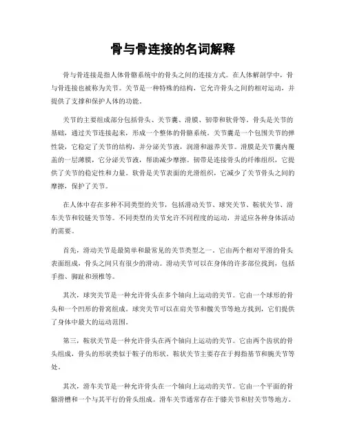 骨与骨连接的名词解释