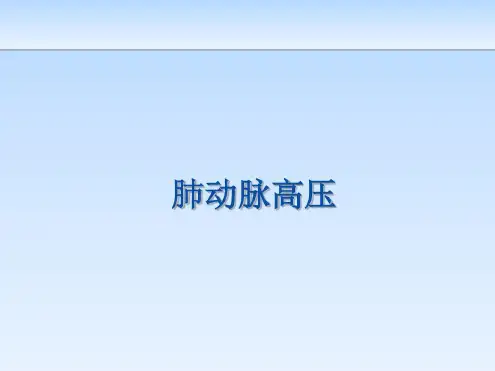 肺动脉高压演示_2022年学习资料