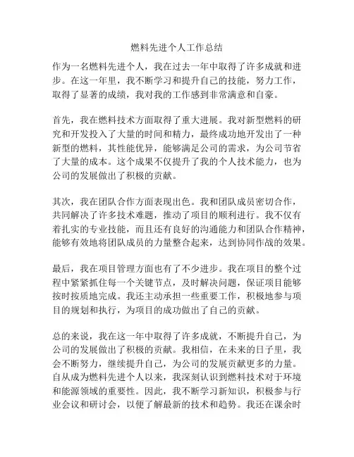 燃料先进个人工作总结