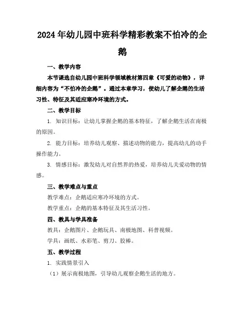 2024年幼儿园中班科学精彩教案不怕冷的企鹅
