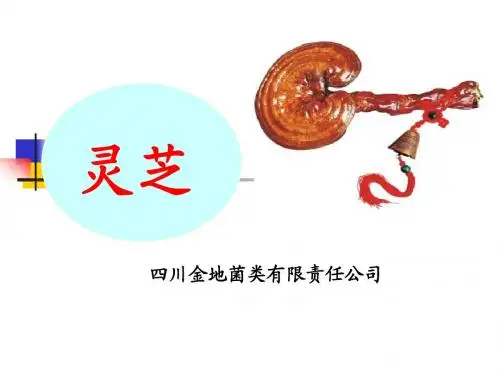 灵芝生产与加工