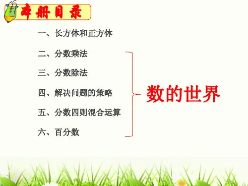苏教版五年级下册数学课件-8.1 数的世界 (共10张PPT)