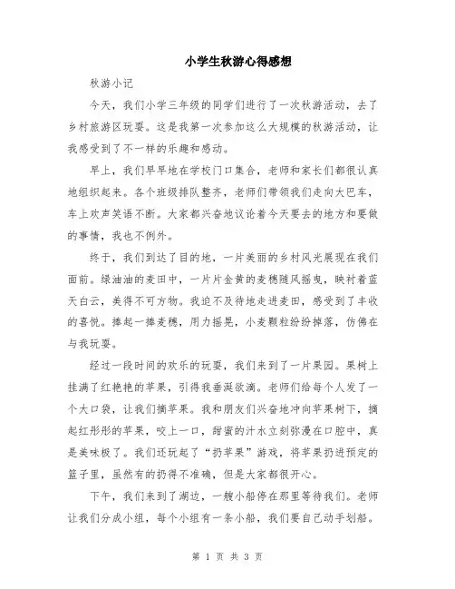 小学生秋游心得感想