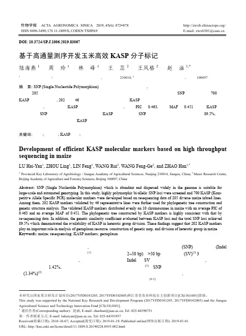 基于高通量测序开发玉米高效KASP分子标记