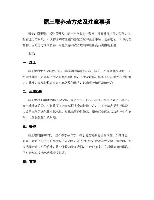 霸王鞭养殖方法及注意事项