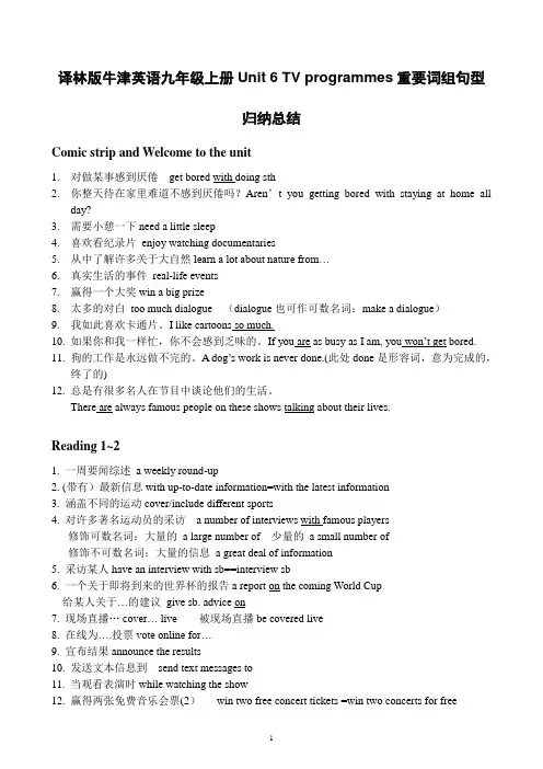 译林版牛津英语九年级上册Unit6 TV programmes词组句型归纳总结