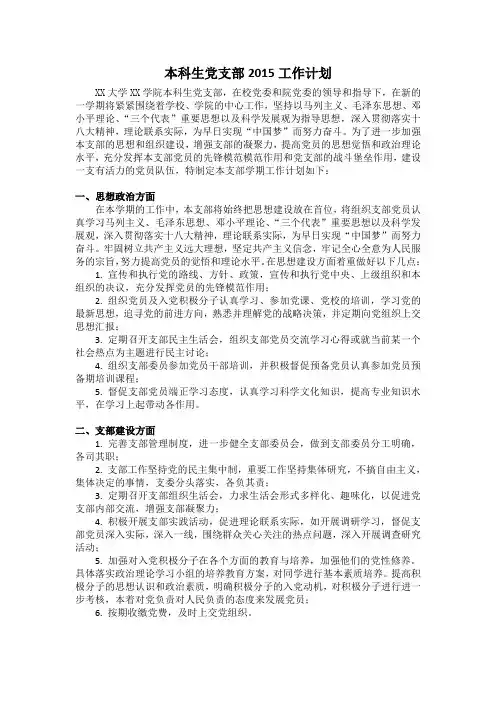 大学生党支部2015工作计划