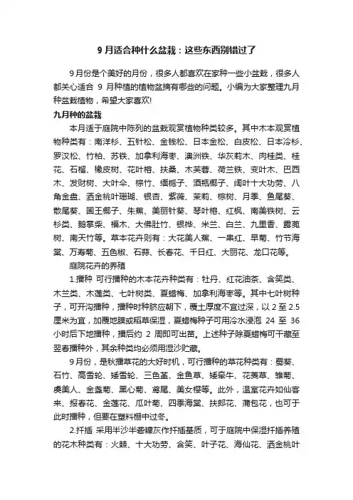 9月适合种什么盆栽：这些东西别错过了