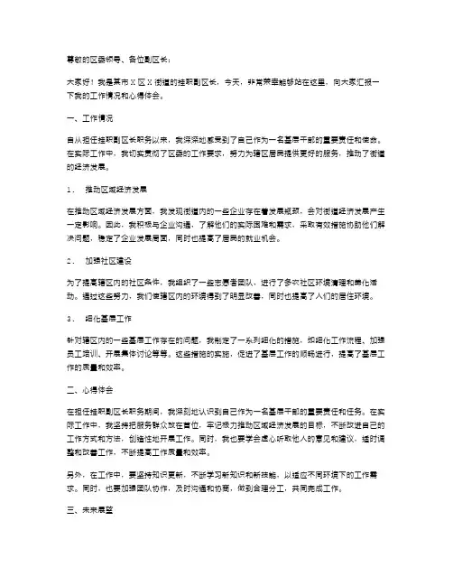 挂职副区长述职报告