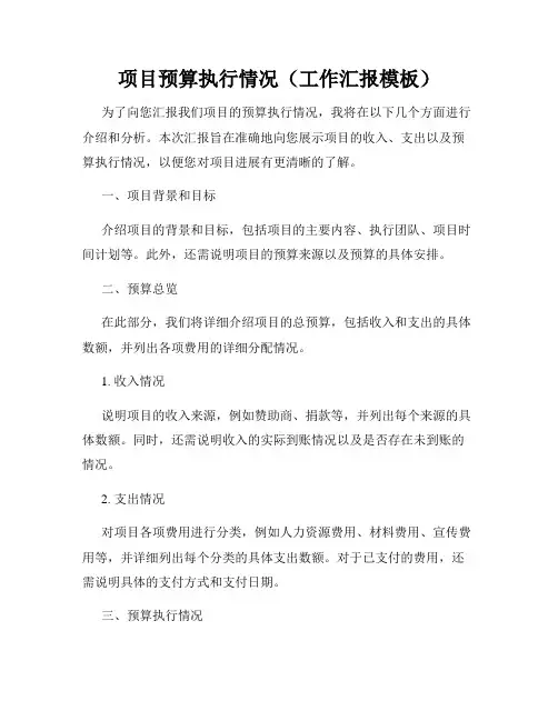 项目预算执行情况(工作汇报模板)