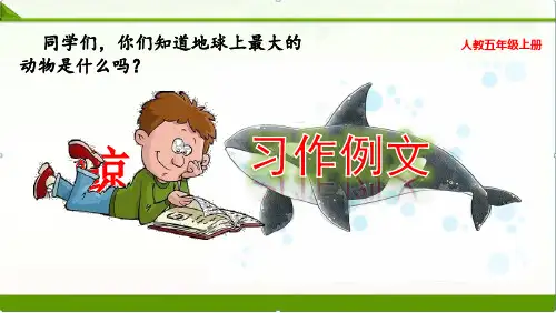 部编人教版语文五年级上册：习作例文：《鲸》《风向袋的制作》课件ppt(新教材)精品资料1