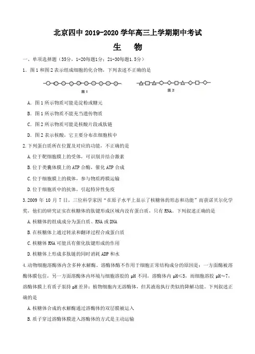 北京四中2019-2020年高三生物上学期期中考试 生物