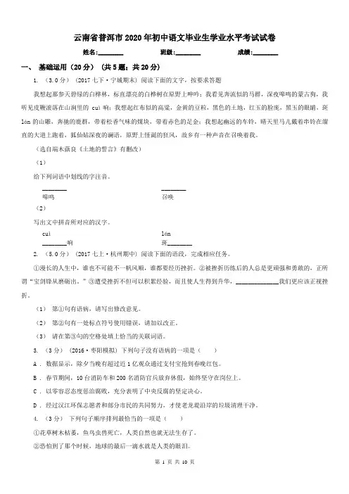 云南省普洱市2020年初中语文毕业生学业水平考试试卷
