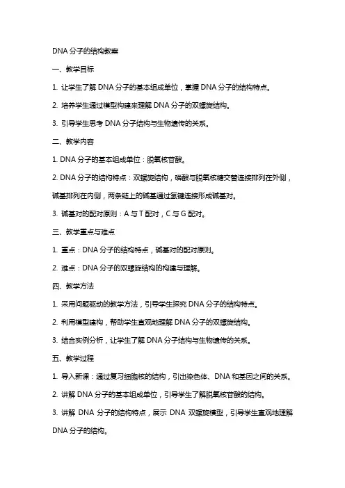 DNA分子的结构教案