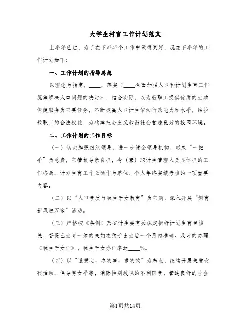 大学生村官工作计划范文(6篇)