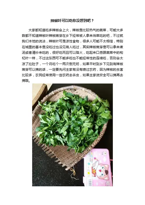 辣椒叶可以吃你没想到吧？