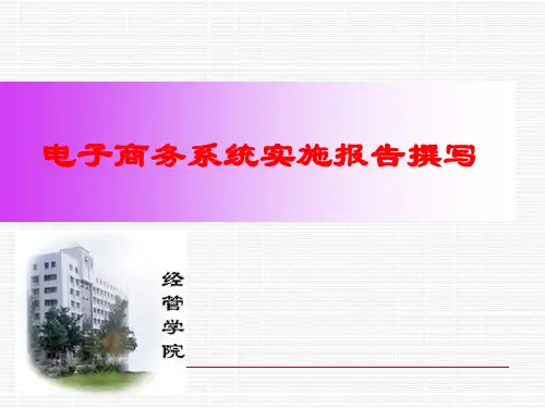 电子商务系统实施报告撰写