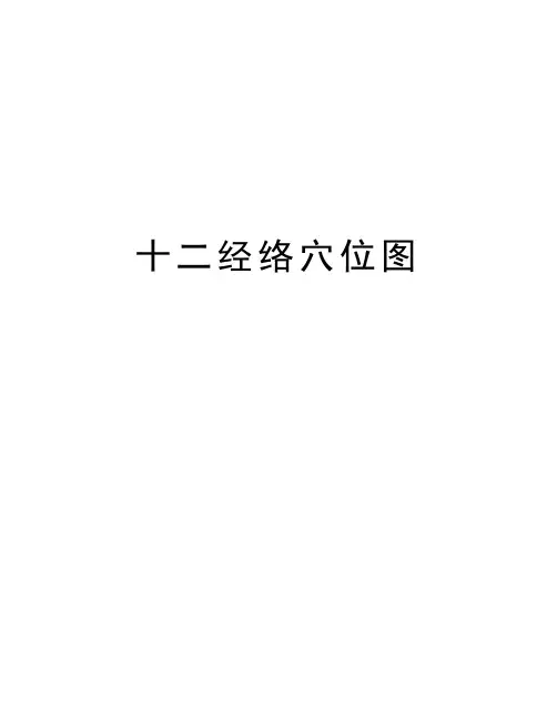 十二经络穴位图教学内容