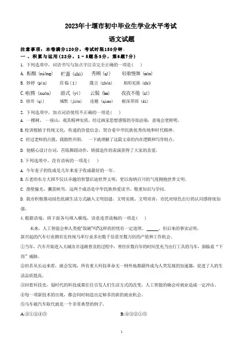 2023年湖北省十堰市中考语文试题(含答案解析) 