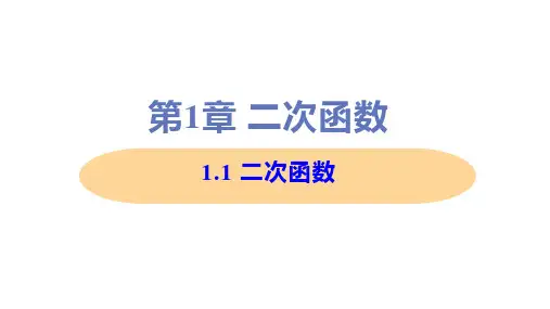 新浙教版九年级上册初中数学 1-1 二次函数 教学课件