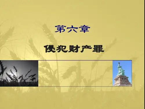 刑法分论第六章.ppt