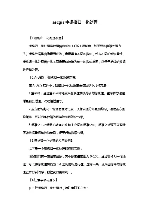arcgis中栅格归一化处理