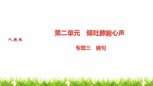 人教部编版中学九年级语文上册《专题三：病句》优质课件