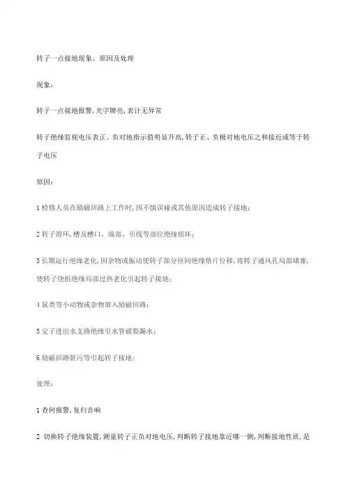 发电机转子一点接地处理