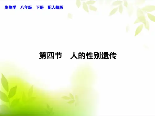 2018春人教版生物八年级下册课堂练习第七单元第2章 第4节