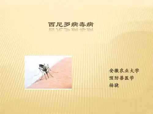 《西尼罗病毒病》PPT课件