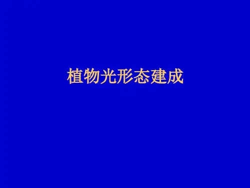 植物生理学 第九章 光形态建成