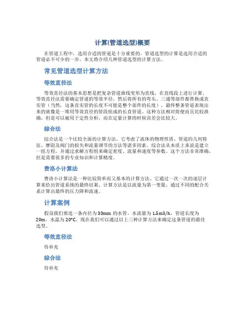 计算(管道选型)概要