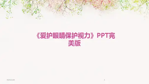 (2024年)《爱护眼睛保护视力》PPT完美版