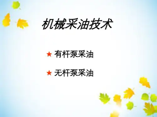 机械有杆、无杆采油技术