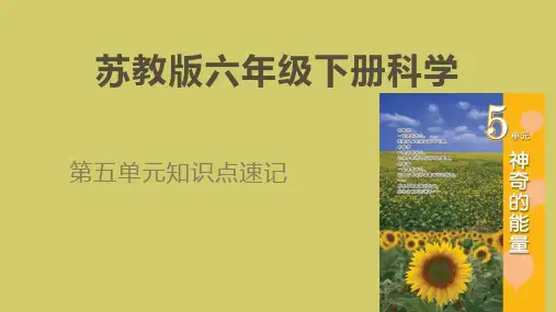 苏教版六年级下册科学(第五单元)