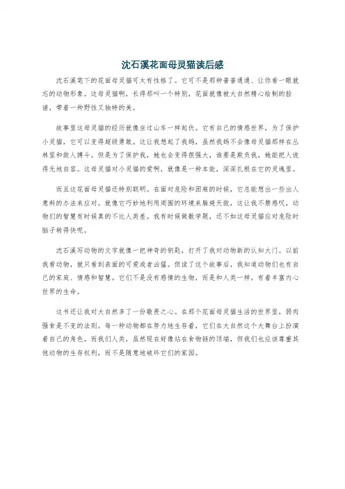 沈石溪花面母灵猫读后感
