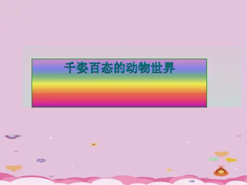 苏教版初中生物八上5. 14.2千姿百态的动物世界 课件 (共29张PPT)