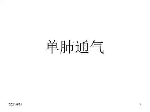 单肺通气PPT课件