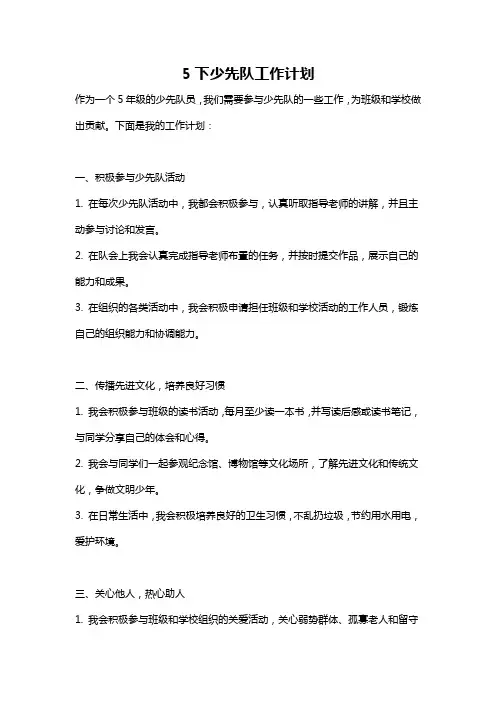5下少先队工作计划
