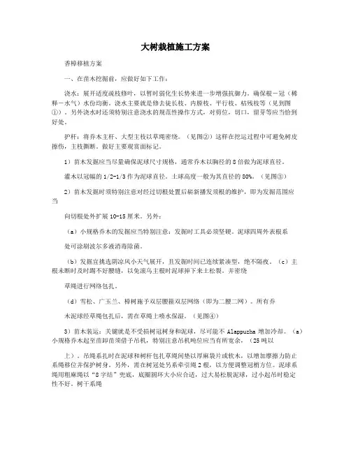 大树栽植施工方案