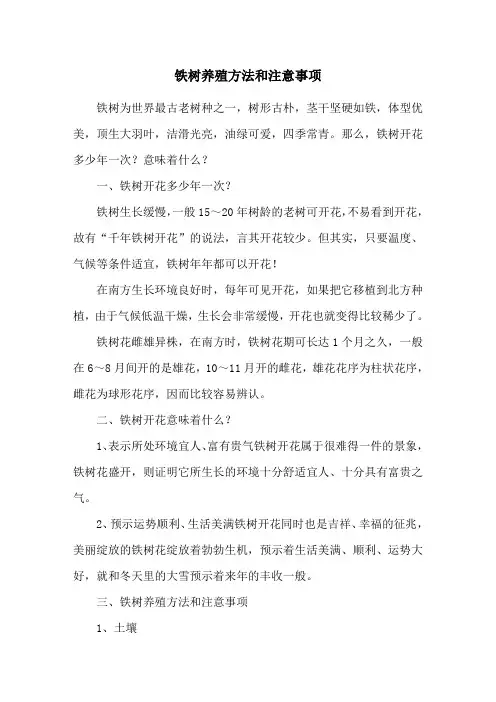 铁树养殖方法和注意事项