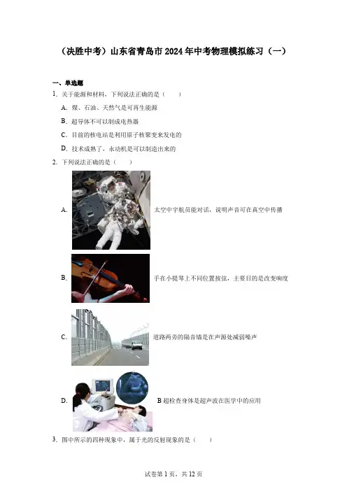 山东省青岛市2024年中考物理模拟练习(一)(含解析)