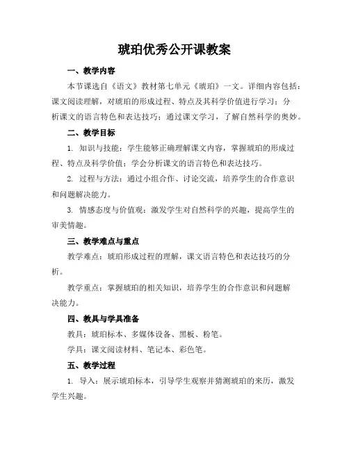 琥珀优秀公开课教案